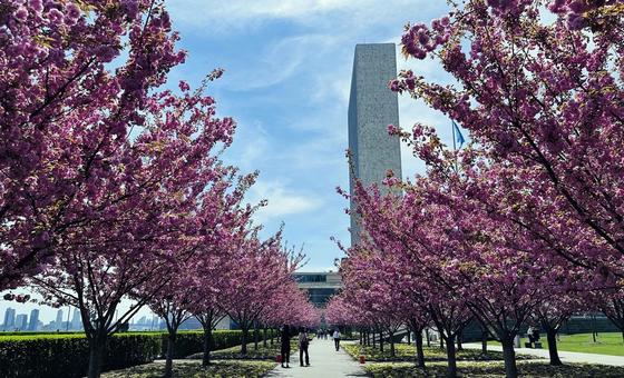 Здание Секретариата ООН в Нью-Йорке.